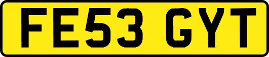 FE53GYT