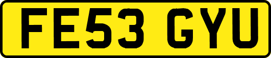 FE53GYU