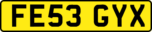 FE53GYX