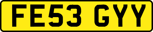 FE53GYY