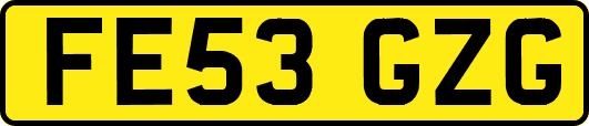 FE53GZG