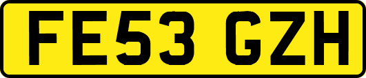 FE53GZH