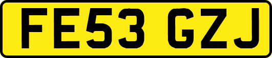 FE53GZJ