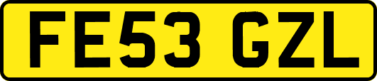 FE53GZL