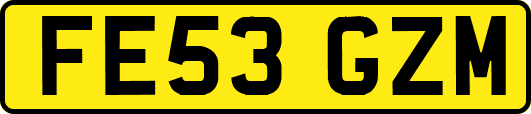 FE53GZM