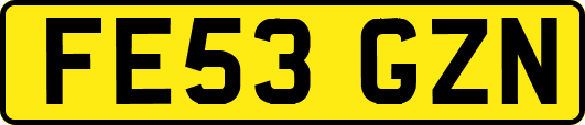 FE53GZN
