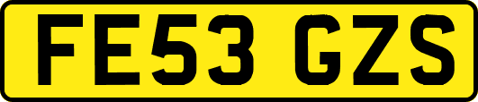 FE53GZS
