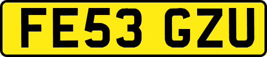 FE53GZU