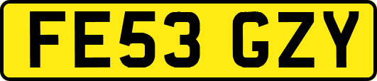FE53GZY