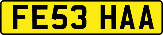 FE53HAA