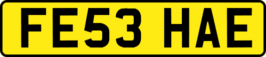 FE53HAE