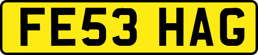 FE53HAG