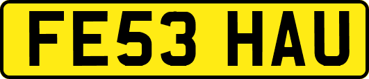 FE53HAU
