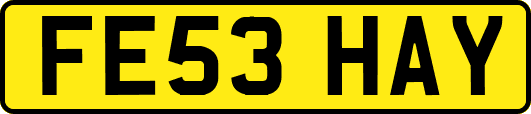 FE53HAY