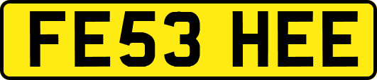 FE53HEE