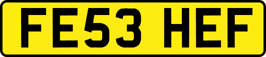 FE53HEF