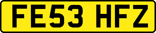 FE53HFZ