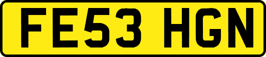 FE53HGN