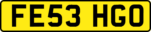 FE53HGO