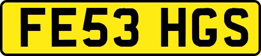 FE53HGS