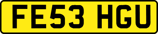 FE53HGU