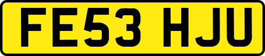 FE53HJU