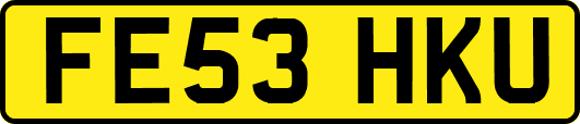 FE53HKU