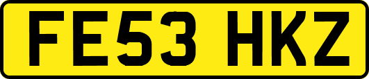 FE53HKZ