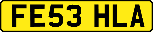 FE53HLA