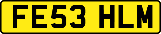 FE53HLM