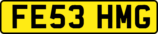 FE53HMG