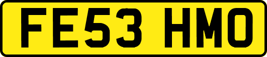 FE53HMO