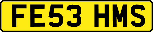 FE53HMS