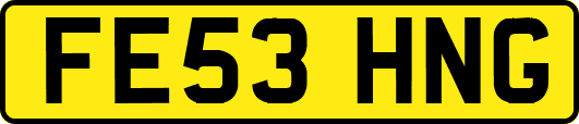 FE53HNG