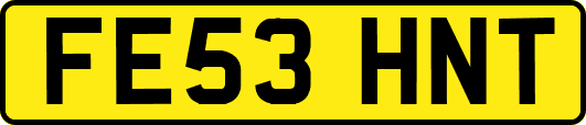FE53HNT