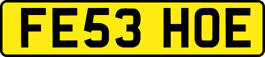 FE53HOE