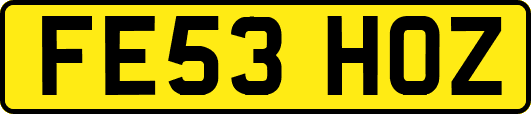 FE53HOZ