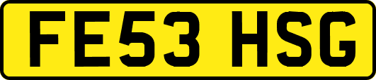 FE53HSG