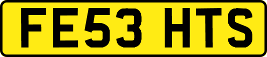 FE53HTS