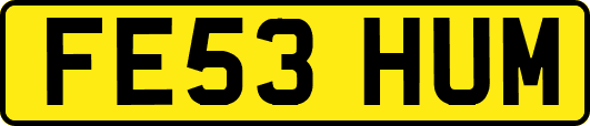 FE53HUM
