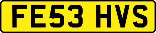 FE53HVS