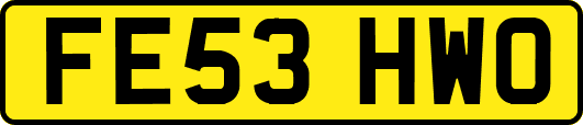 FE53HWO