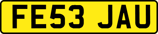 FE53JAU