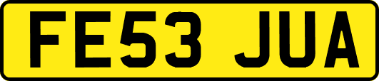 FE53JUA