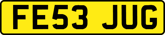 FE53JUG