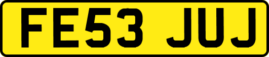 FE53JUJ