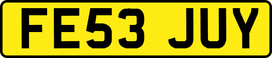 FE53JUY