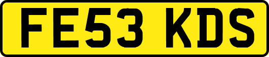 FE53KDS