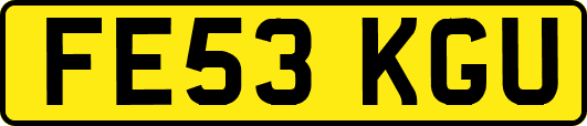FE53KGU