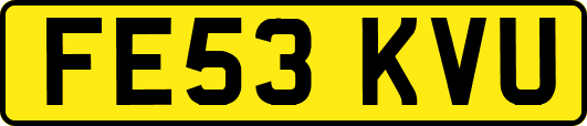 FE53KVU